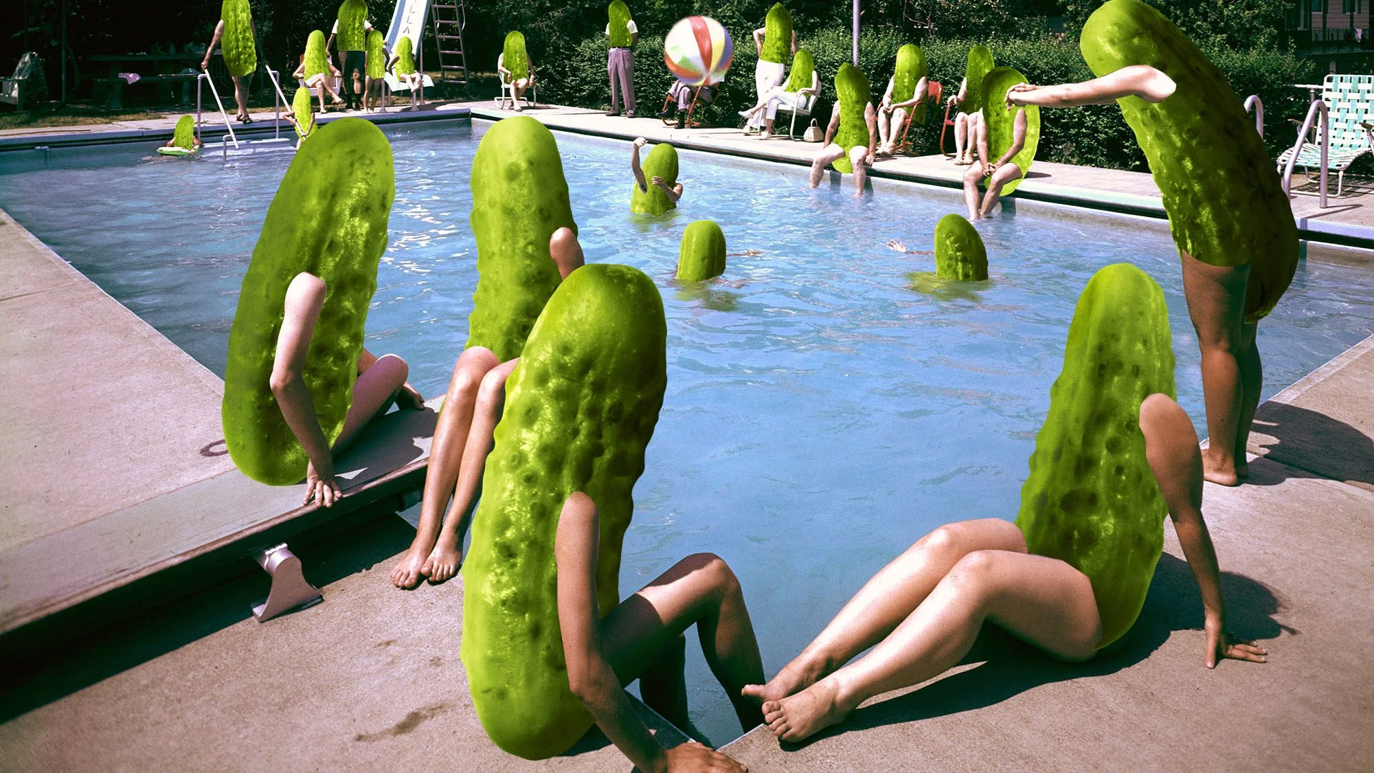 The Rise of Pickle Mania: Exploring the Cultural Craze Behind the Trend